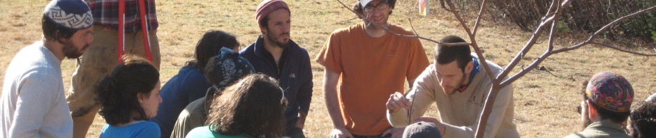 Ethan Permaculture Teaching