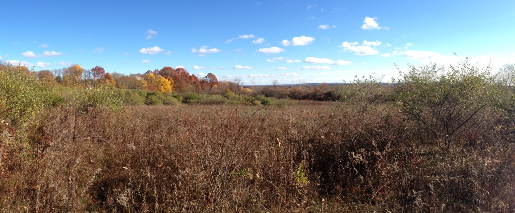 Suburban Farmland Permaculture Reuse